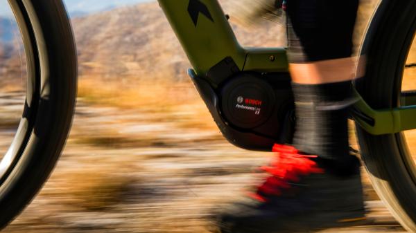 Trek PowerflyFS4 EQ EU L 29 Blue Sage/Juniper Produktbild 13