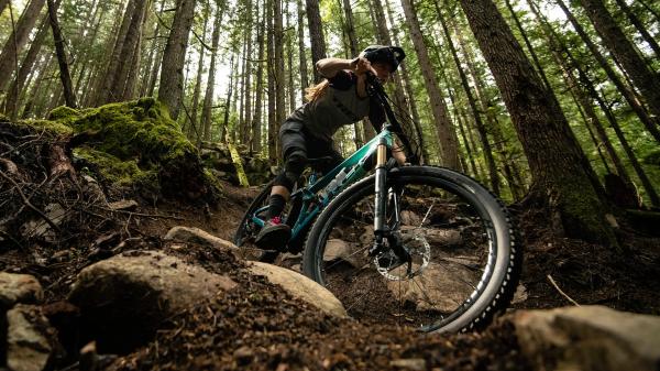 Trek FUEL EXe 9.7 SLX/XT EU M Deep Smoke Produktbild 16