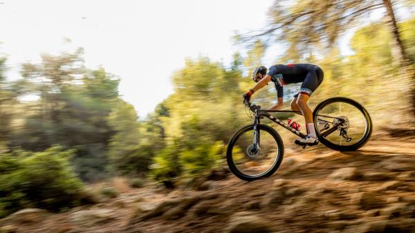 Trek Procaliber 9.6 S 29 Dark Web Produktbild 7