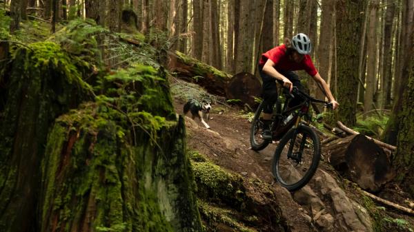 Bontrager Vorderrad Bontrager Line Elite 30 29 Disc 110mm Bl Produktbild 8